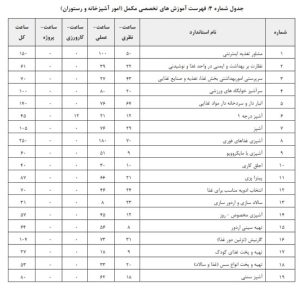 دستورالعمل تعیین صلاحیت و رتبه بندی شرکتهای خدماتی پشتیبانی و فنی مهندسی ارائهدهنده خدمات به دستگاههای اجرایی و شرکتهای دولتی، مصوب 1402/8/23 17 شناسنامه قانون | 1 23
