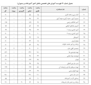 دستورالعمل تعیین صلاحیت و رتبه بندی شرکتهای خدماتی پشتیبانی و فنی مهندسی ارائهدهنده خدمات به دستگاههای اجرایی و شرکتهای دولتی، مصوب 1402/8/23 18 شناسنامه قانون | 1 24